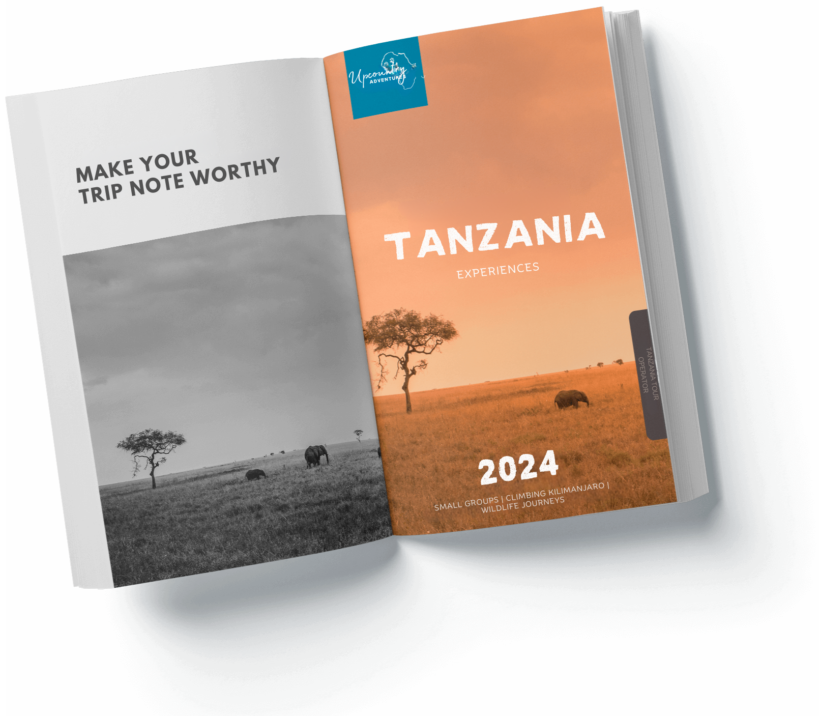 Download Tanzania Book