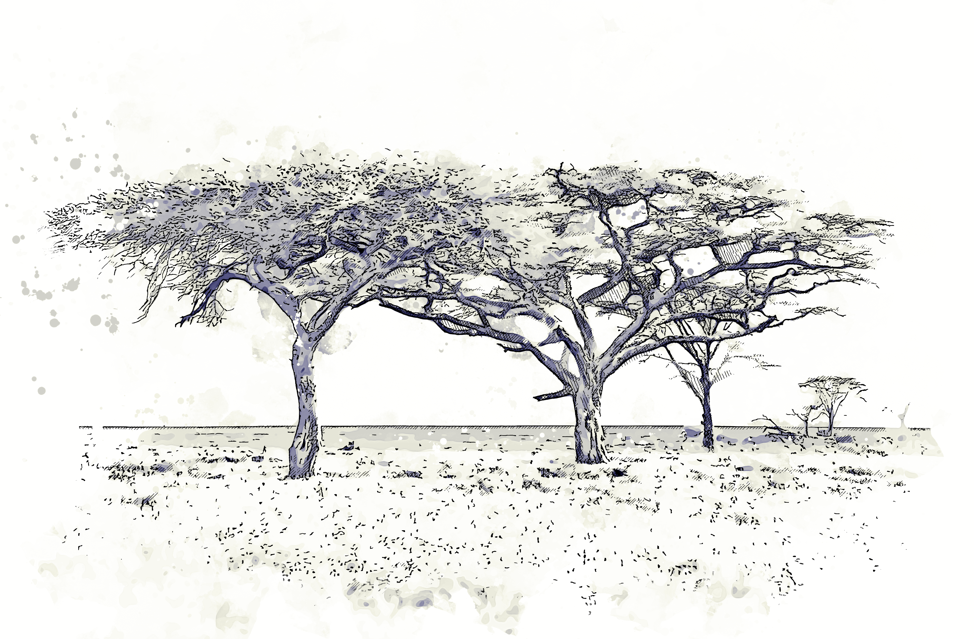 Holidays to Tanzania